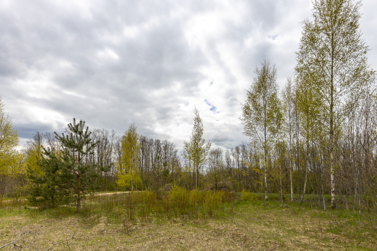 Viljandi vald, Peetrimõisa küla, Ilvese tee 12