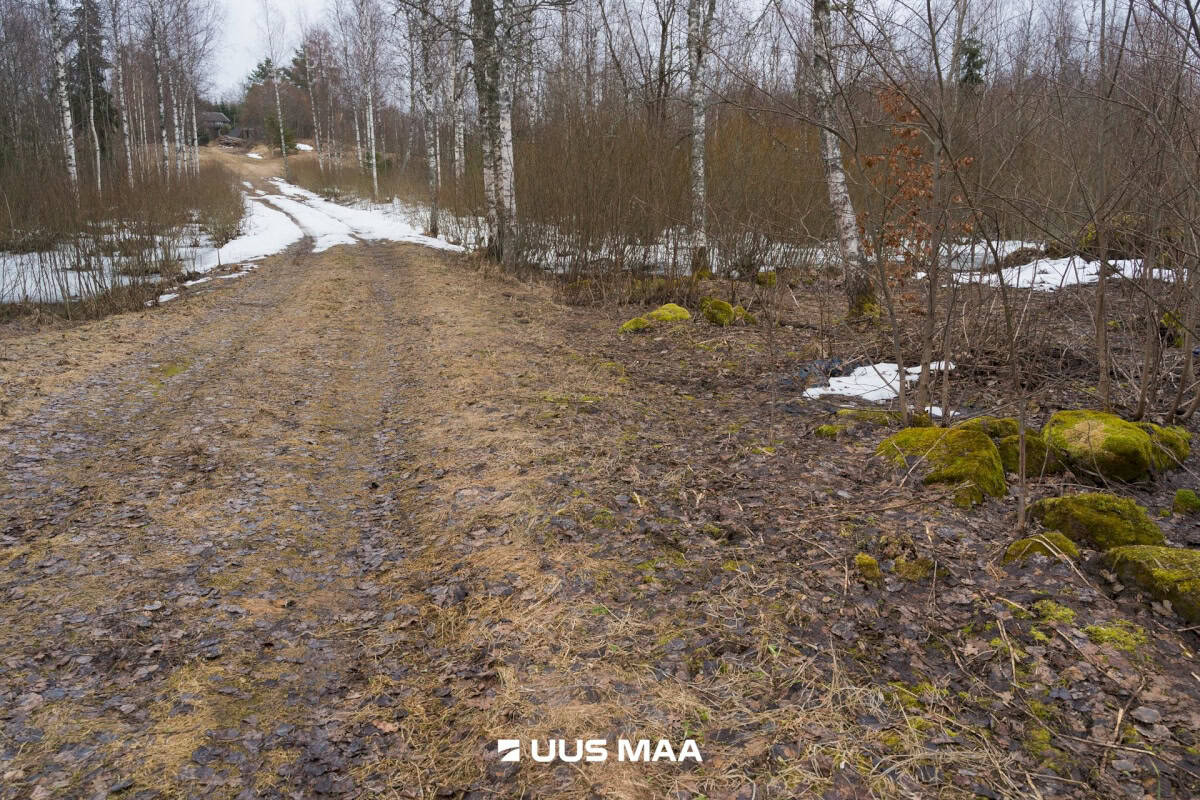 Otepää vald, Kaurutootsi küla, Kellalasu