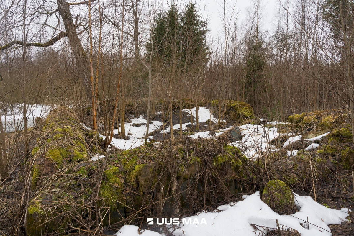 Otepää vald, Kaurutootsi küla, Kellalasu