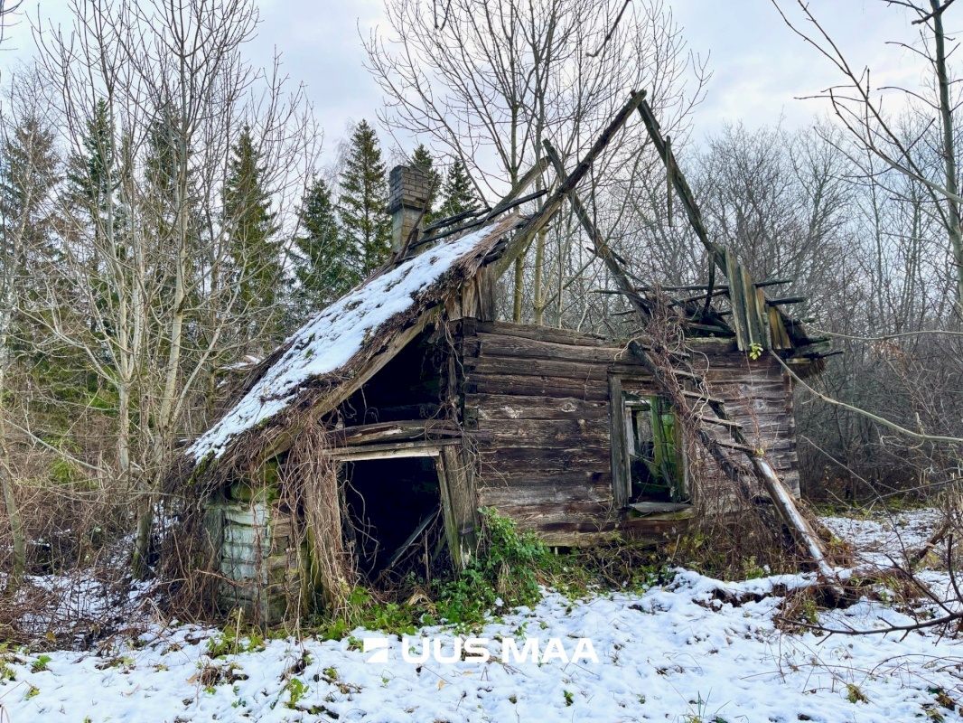 Lääneranna vald, Kõmsi küla, Kirsi