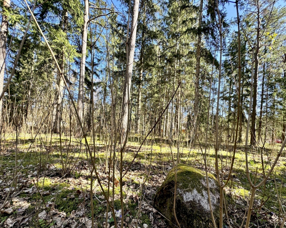 Lääne-Harju vald, Vasalemma alevik, Roosi 20