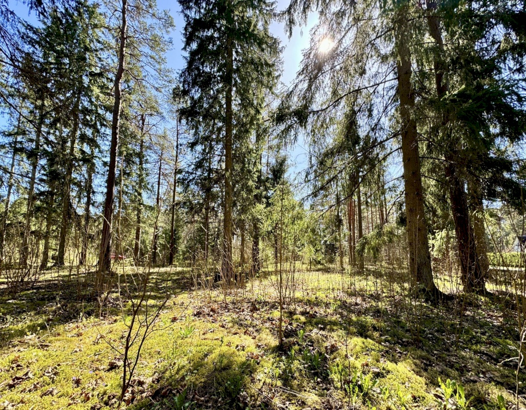 Lääne-Harju vald, Vasalemma alevik, Roosi 20