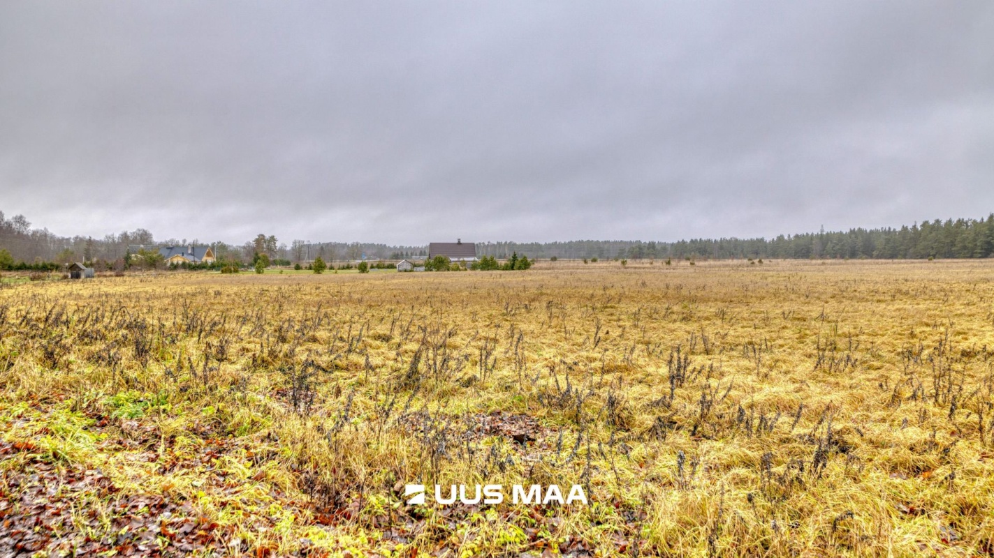 Lääne-Harju vald, Lemmaru küla, Põlluääre