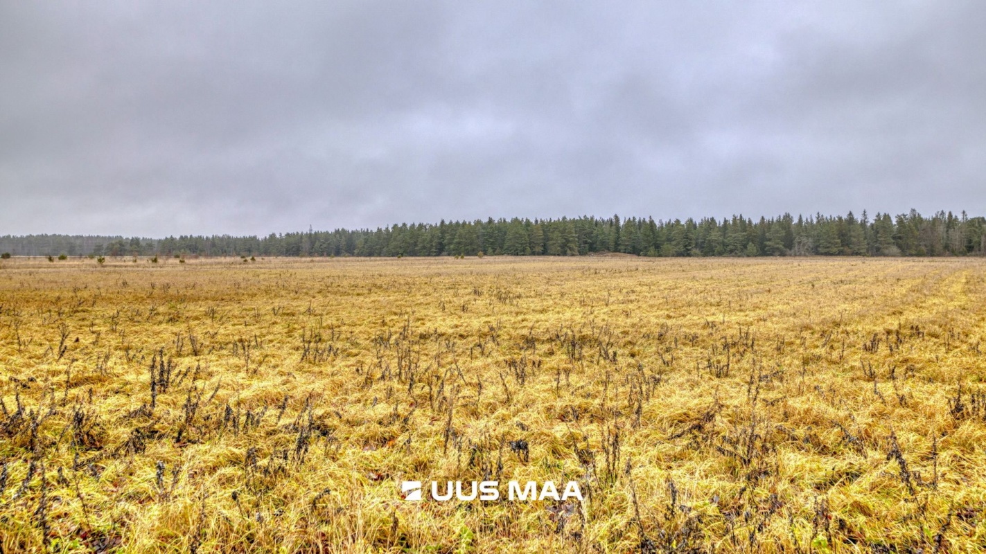 Lääne-Harju vald, Lemmaru küla, Põlluääre