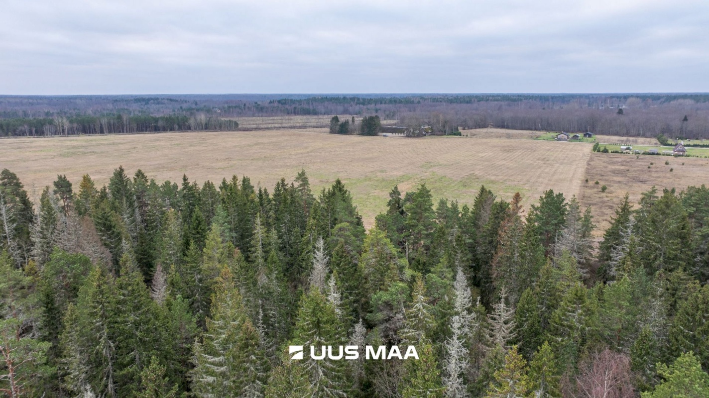 Lääne-Harju vald, Lemmaru küla, Põlluääre