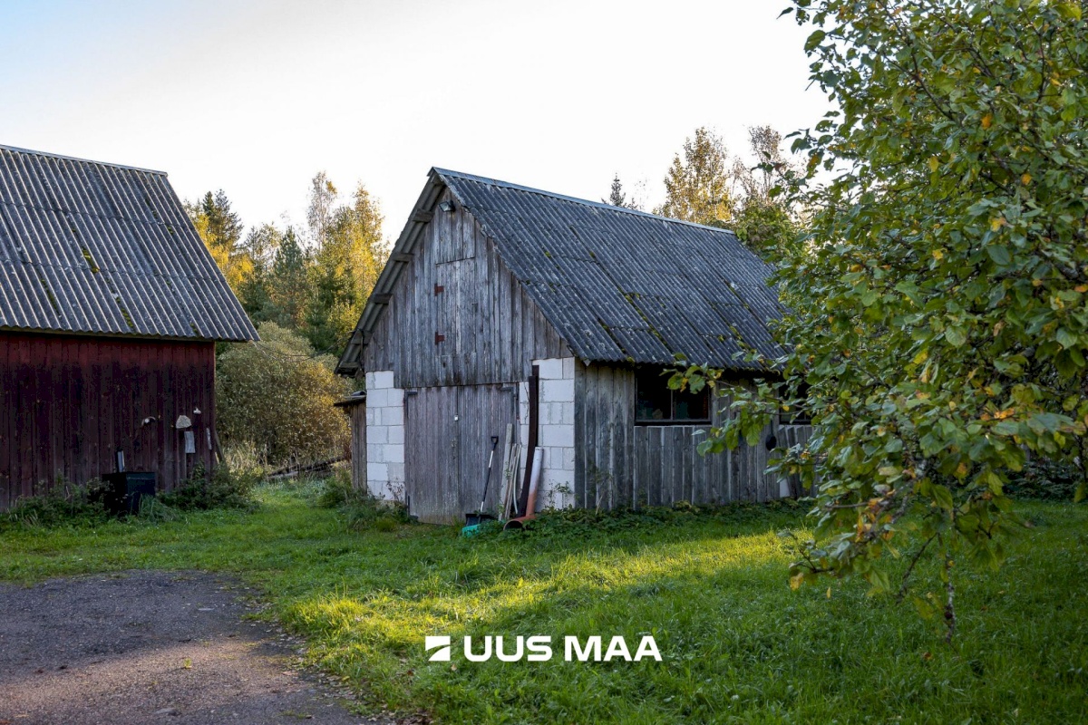 Saku vald, Metsanurme küla, Rehemetsa