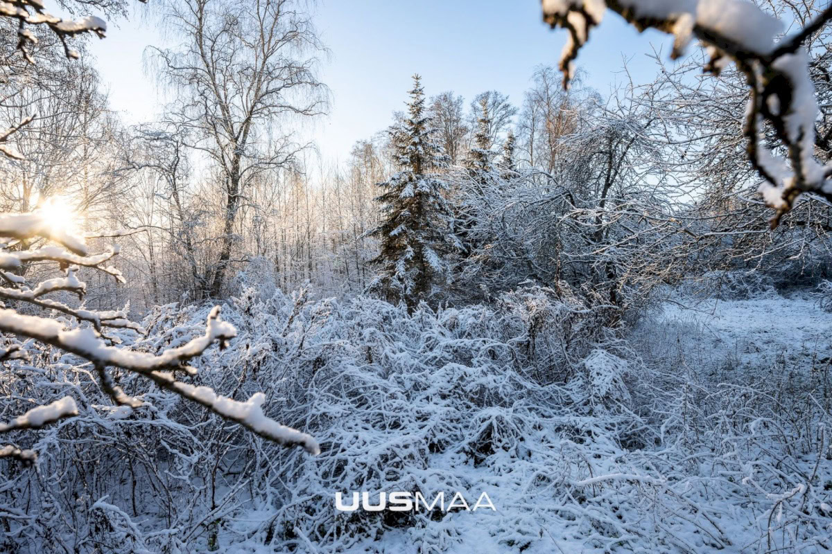 Kuusalu vald, Kuusalu alevik, Lepa 6