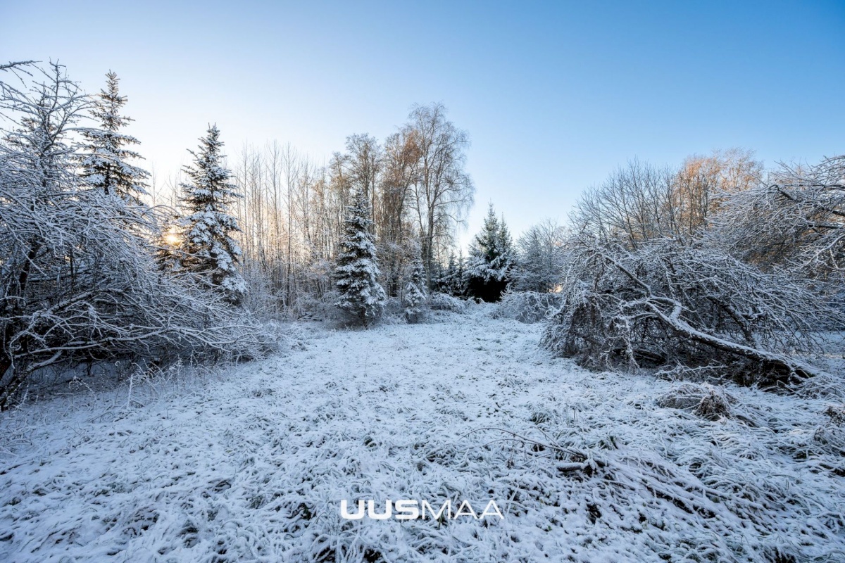 Kuusalu vald, Kuusalu alevik, Lepa 6