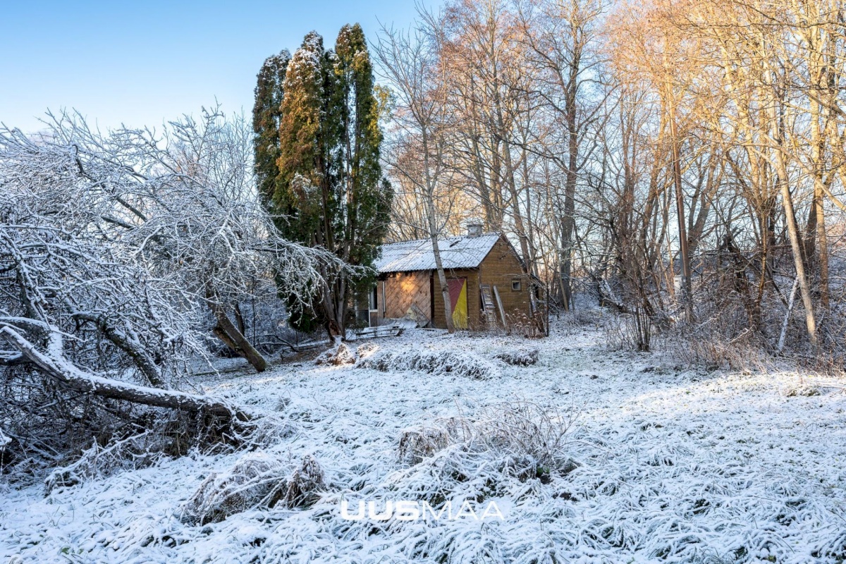 Kuusalu vald, Kuusalu alevik, Lepa 6