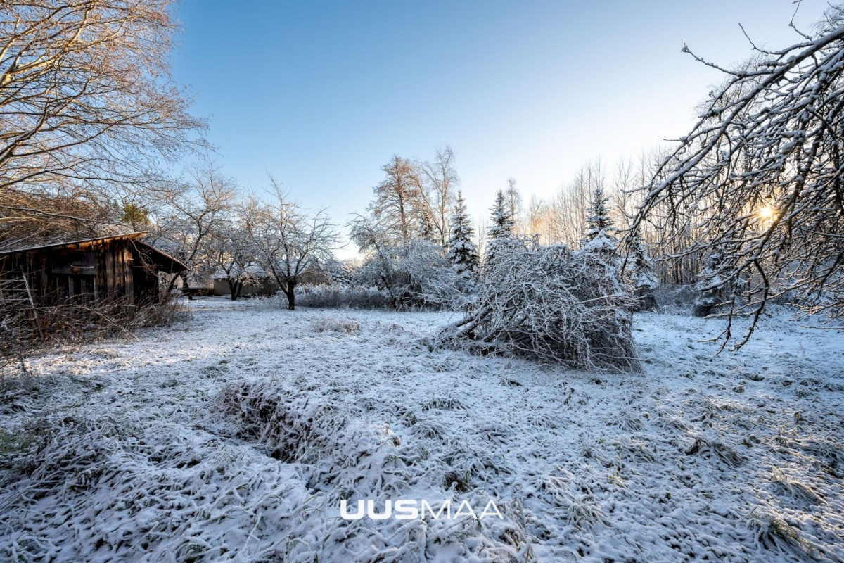 Kuusalu vald, Kuusalu alevik, Lepa 6