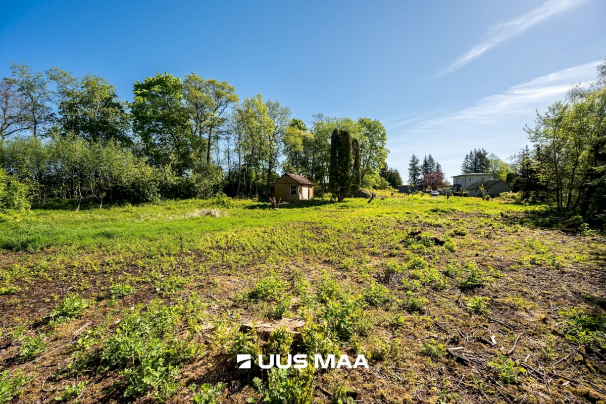 Kuusalu vald, Kuusalu alevik, Lepa 6