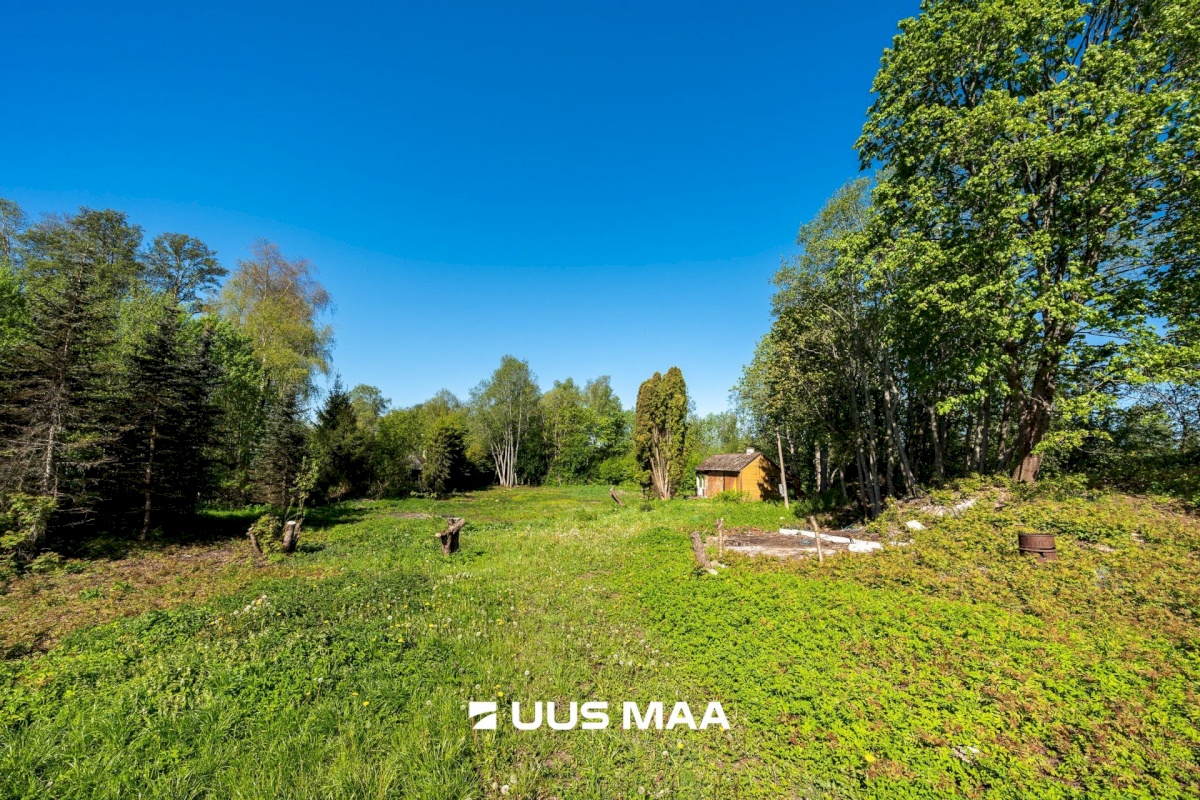 Kuusalu vald, Kuusalu alevik, Lepa 6