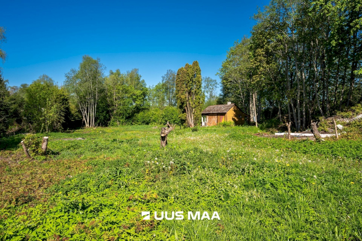 Kuusalu vald, Kuusalu alevik, Lepa 6