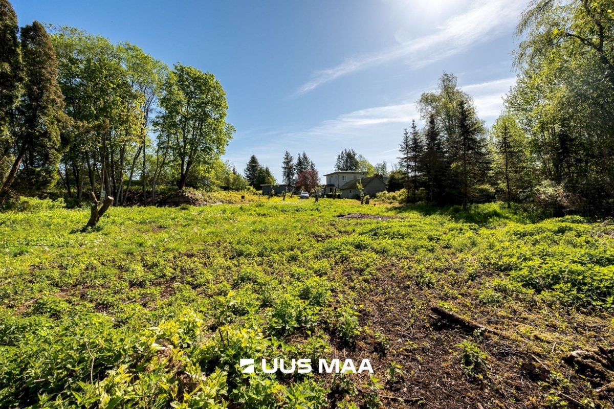 Kuusalu vald, Kuusalu alevik, Lepa 6