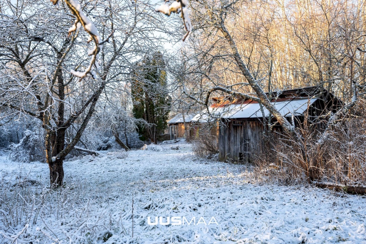 Kuusalu vald, Kuusalu alevik, Lepa 6