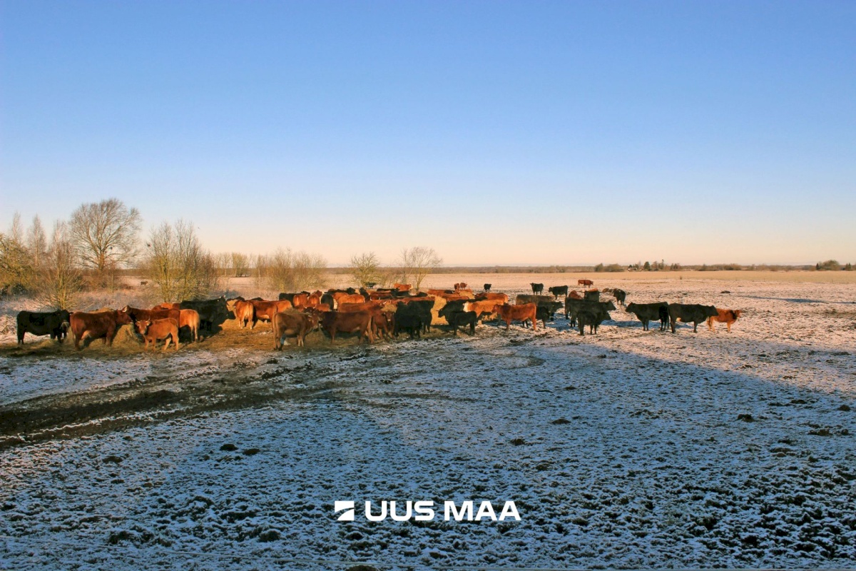 Lääneranna vald, Pagasi küla