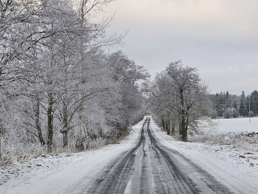 Haljala vald, Vanamõisa küla, Kase