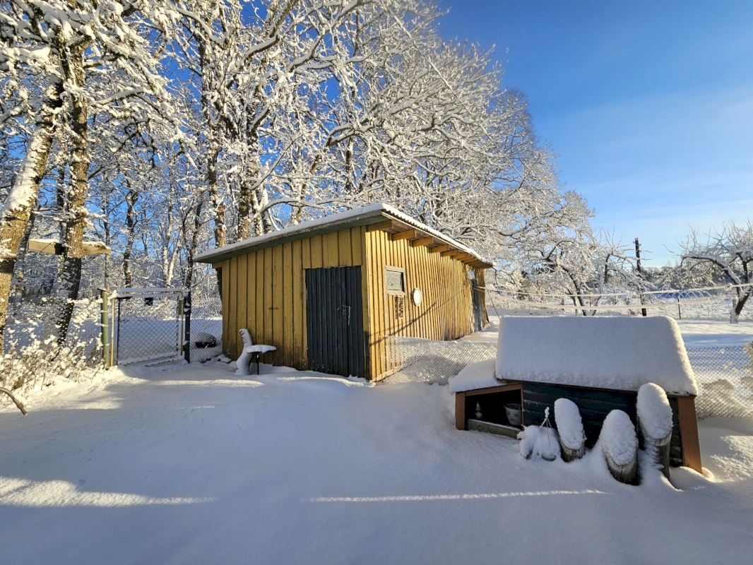 Haljala vald, Vanamõisa küla, Kase