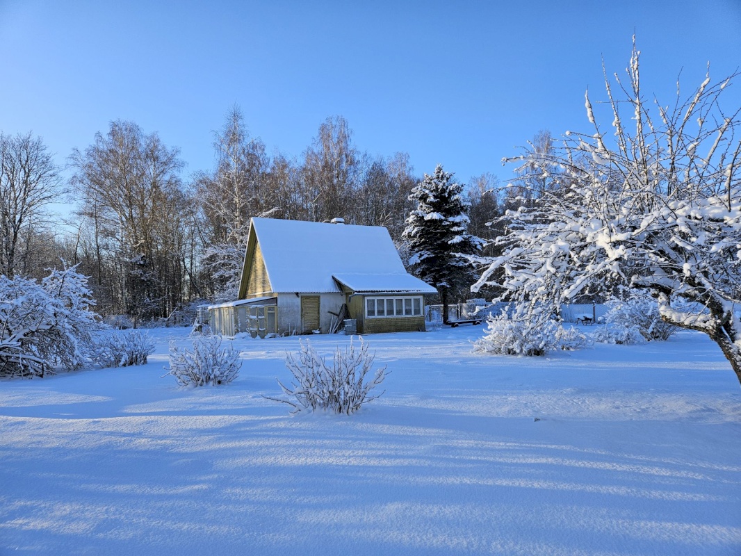 Haljala vald, Vanamõisa küla, Kase