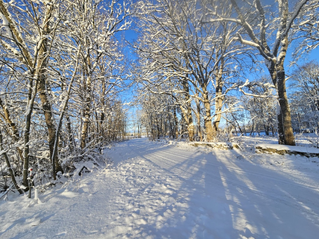 Haljala vald, Vanamõisa küla, Kase