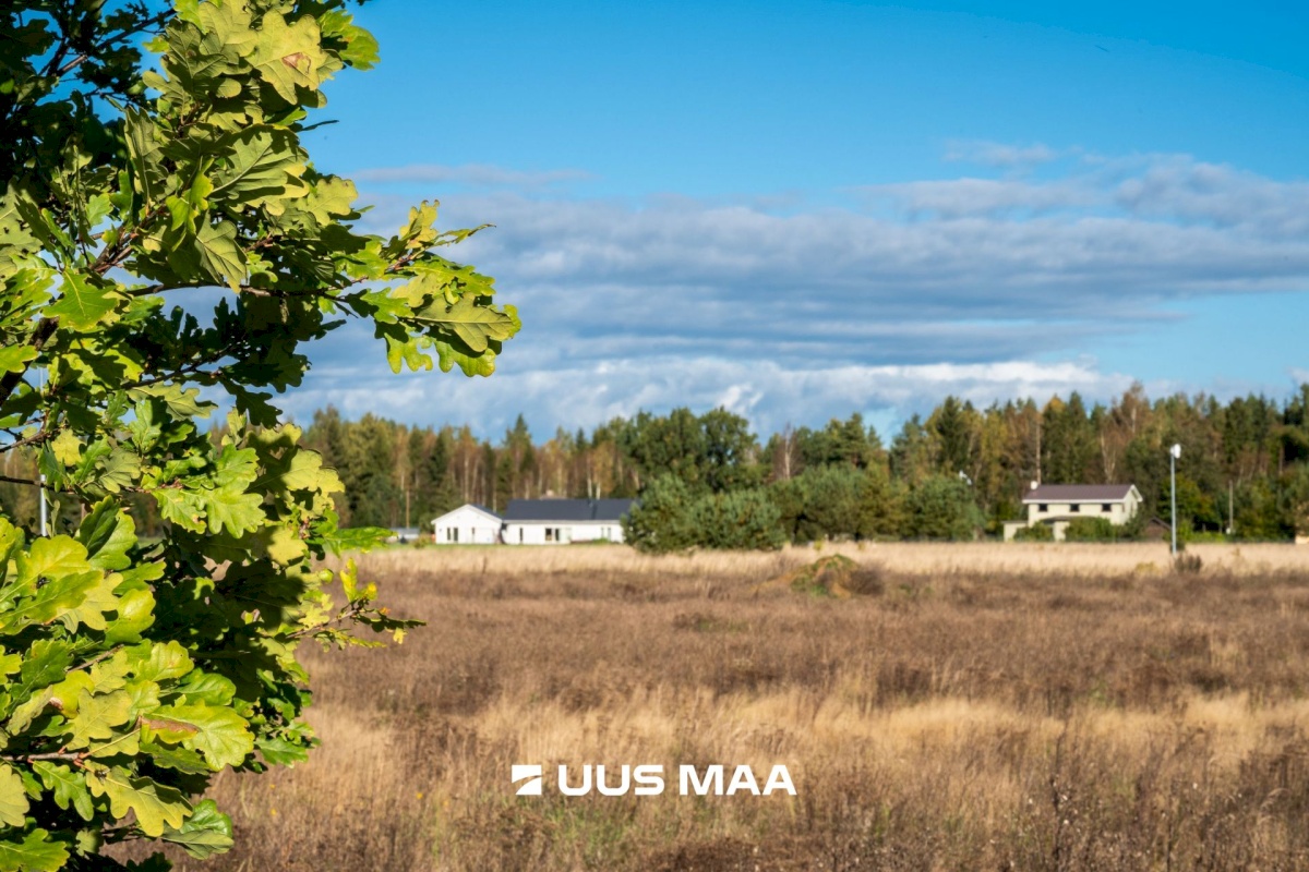 Kose vald, Tade küla, Saare põik 8