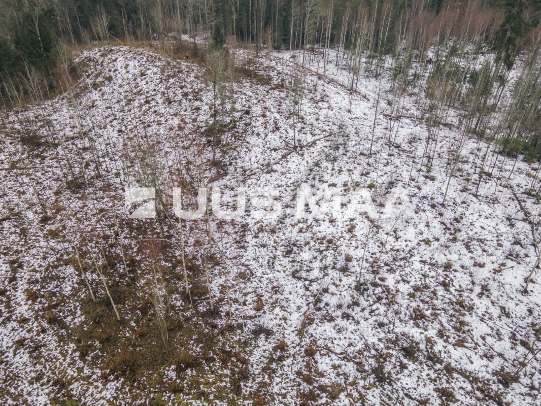 Otepää vald, Kaurutootsi küla, Piirindumäe