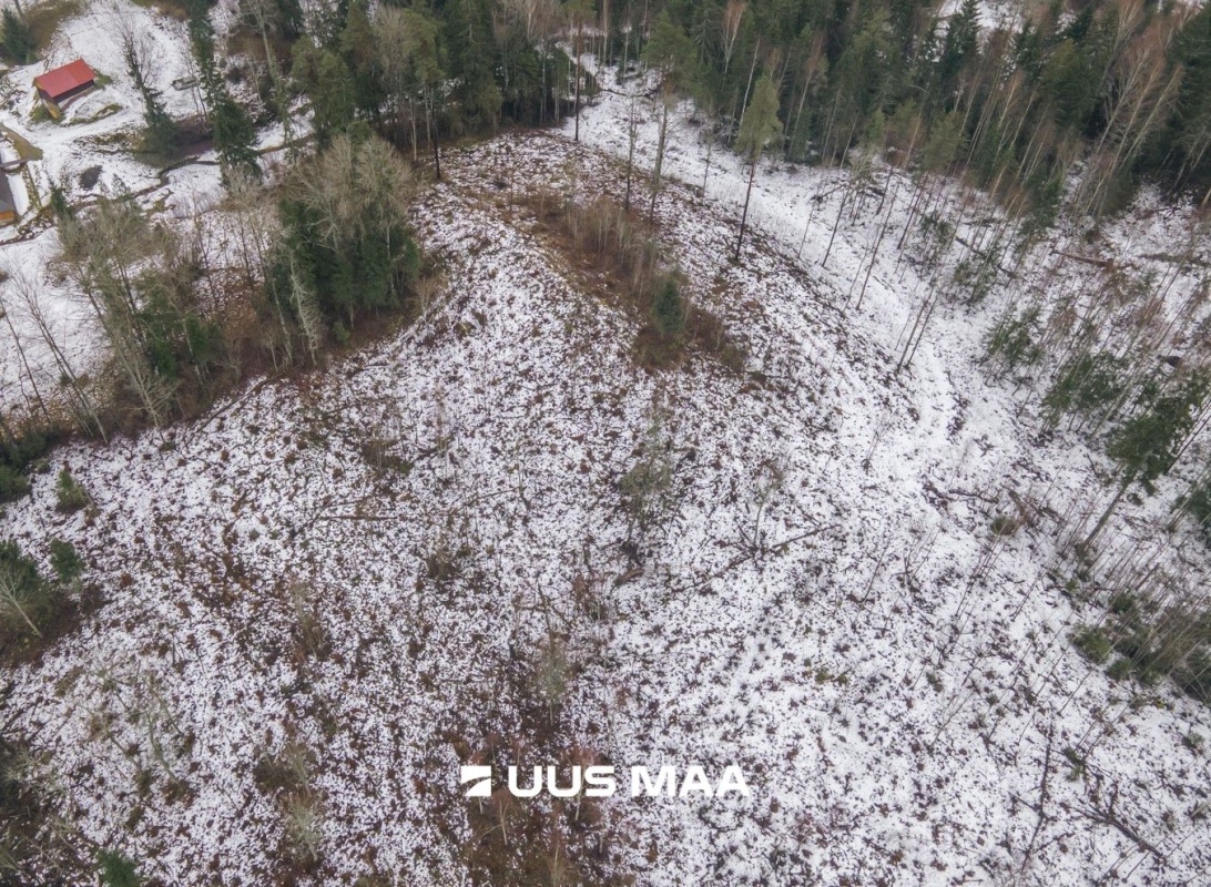 Otepää vald, Kaurutootsi küla, Piirindumäe