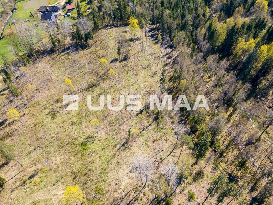 Otepää vald, Kaurutootsi küla, Piirindumäe