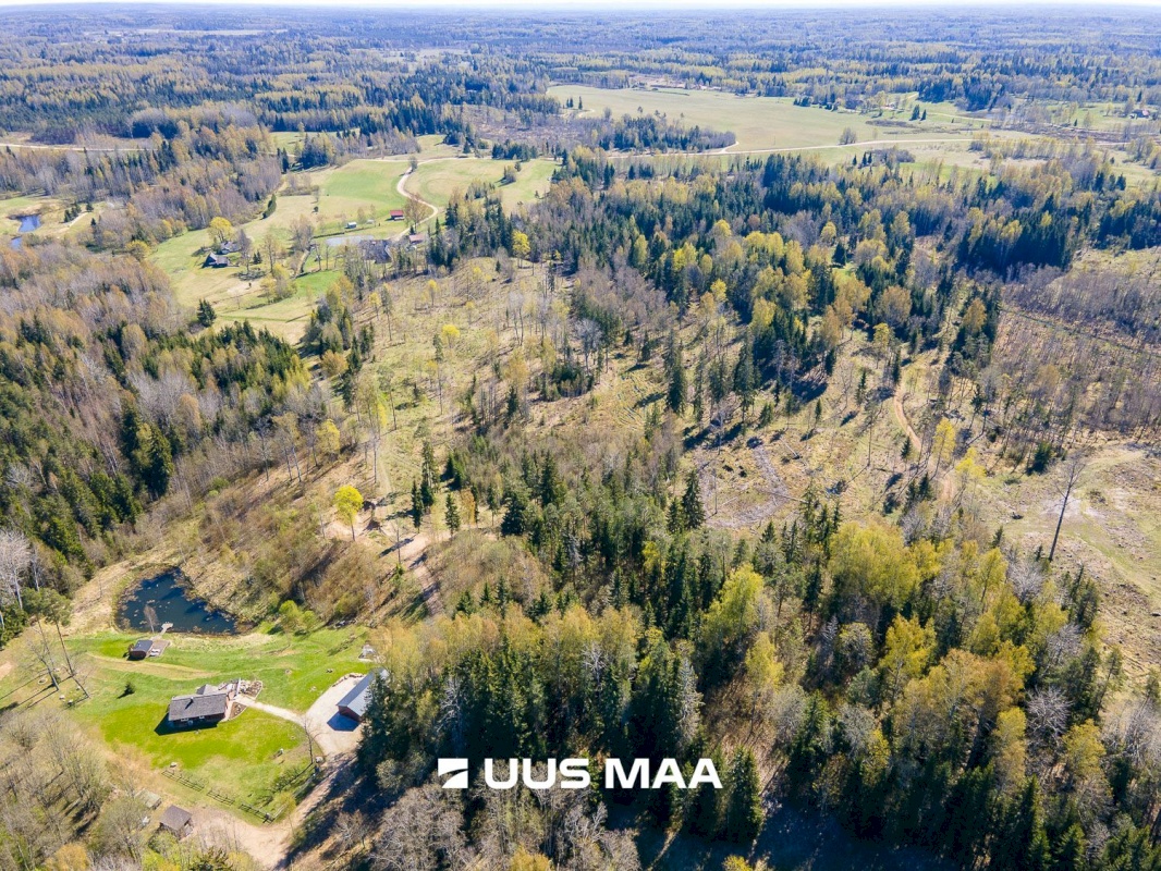 Otepää vald, Kaurutootsi küla, Piirindumäe