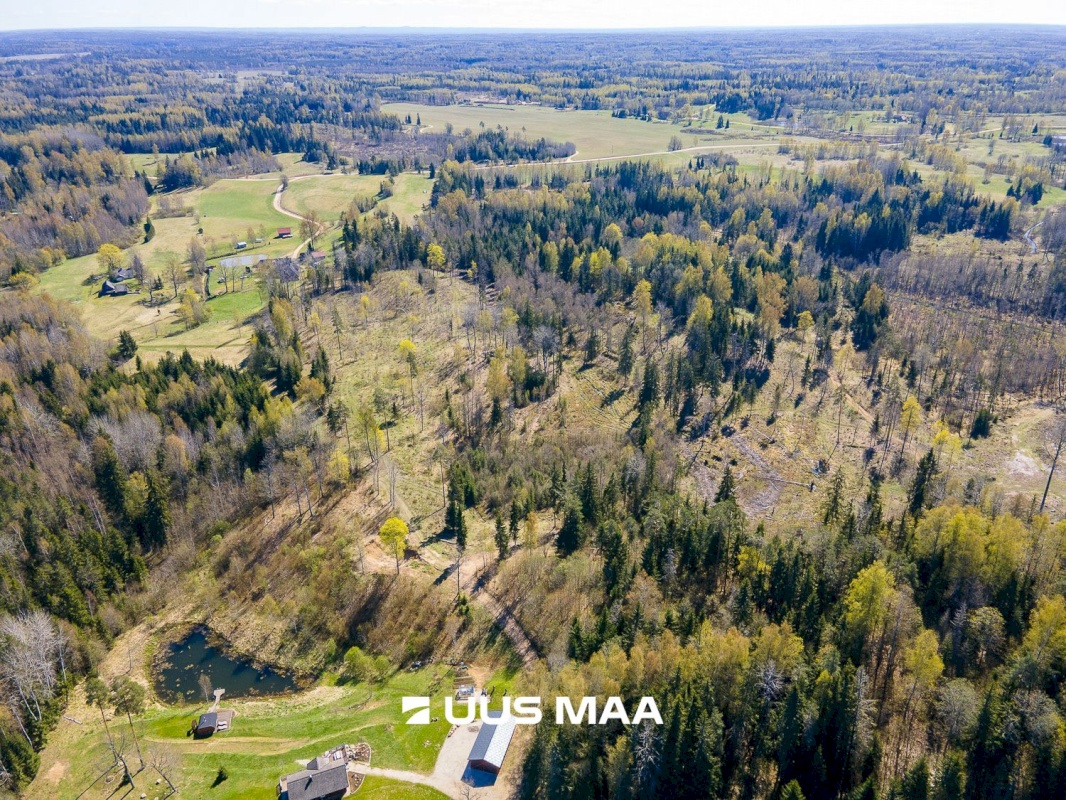 Otepää vald, Kaurutootsi küla, Piirindumäe