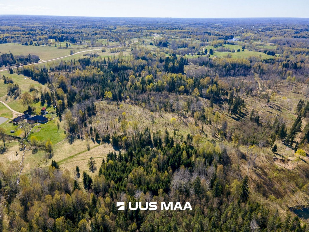 Otepää vald, Kaurutootsi küla, Piirindumäe