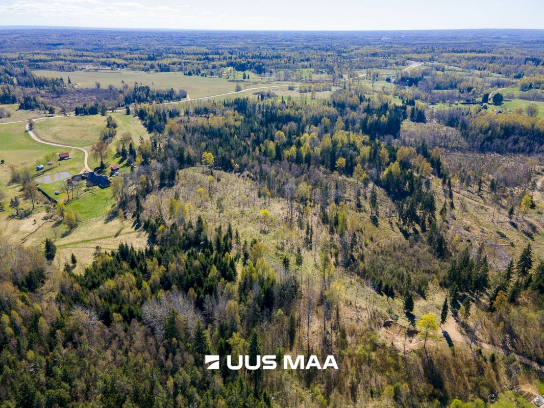 Otepää vald, Kaurutootsi küla, Piirindumäe