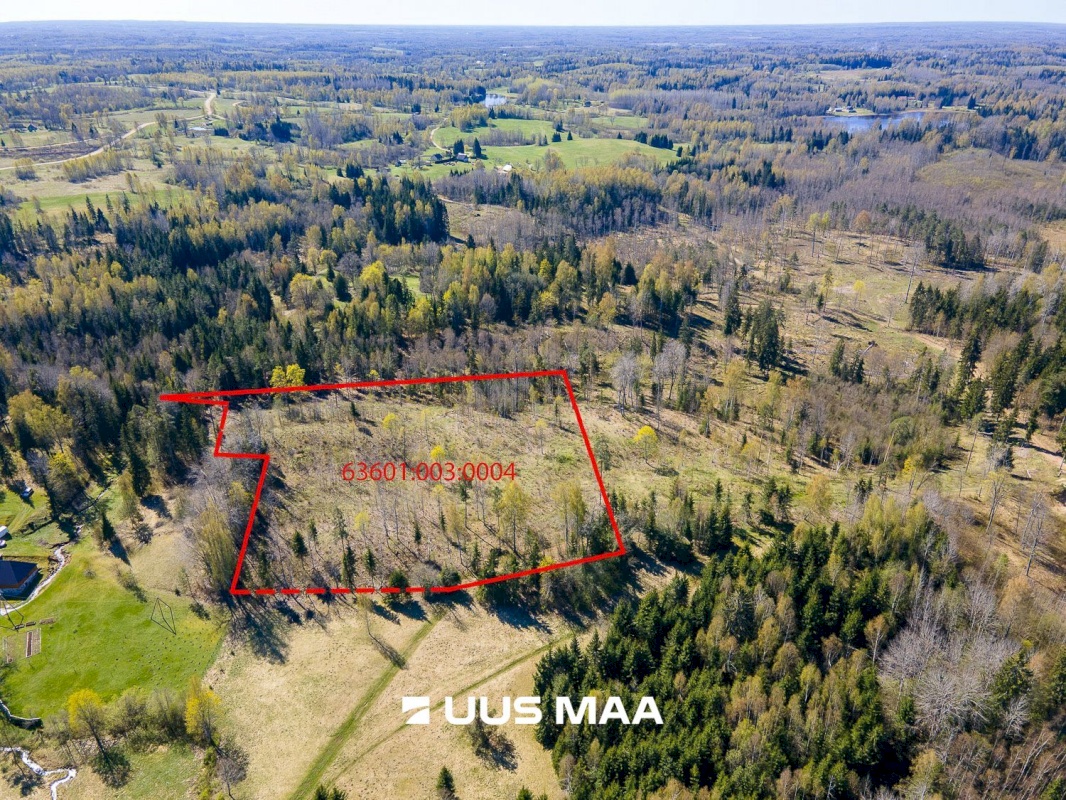 Otepää vald, Kaurutootsi küla, Piirindumäe