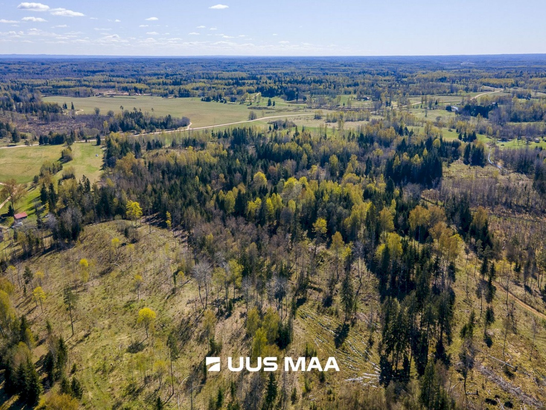 Otepää vald, Kaurutootsi küla, Piirindumäe