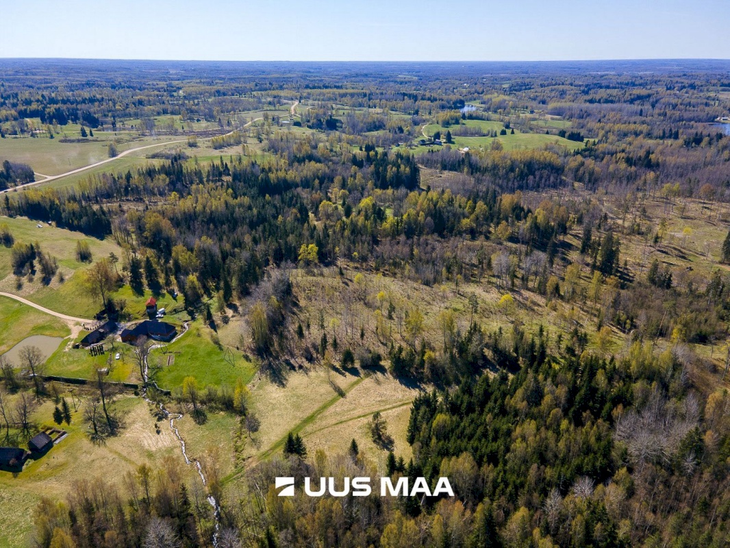 Otepää vald, Kaurutootsi küla, Piirindumäe