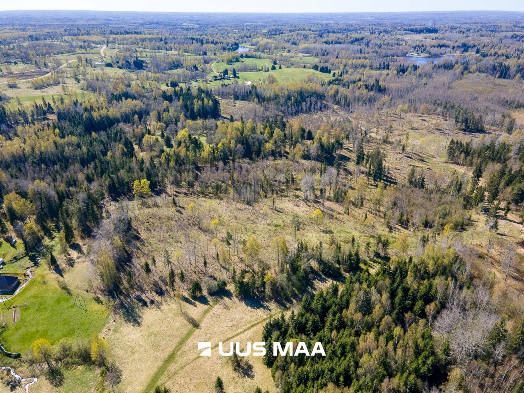 Otepää vald, Kaurutootsi küla, Piirindumäe