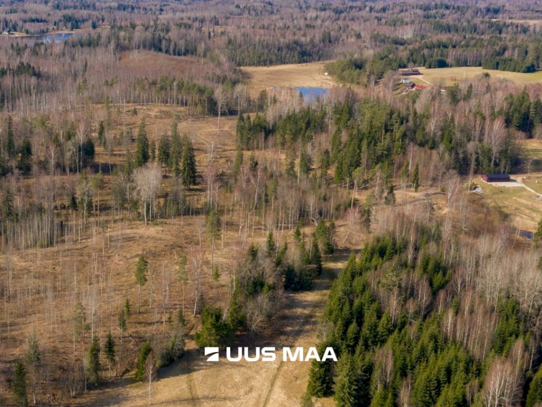 Otepää vald, Kaurutootsi küla, Üla-Piirindumäe
