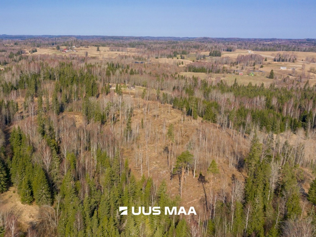 Otepää vald, Kaurutootsi küla, Üla-Piirindumäe