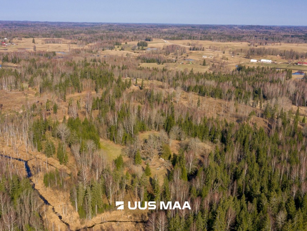 Otepää vald, Kaurutootsi küla, Üla-Piirindumäe