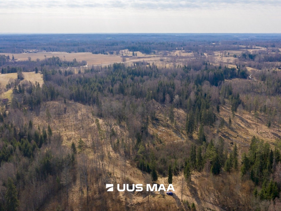 Otepää vald, Kaurutootsi küla, Üla-Piirindumäe