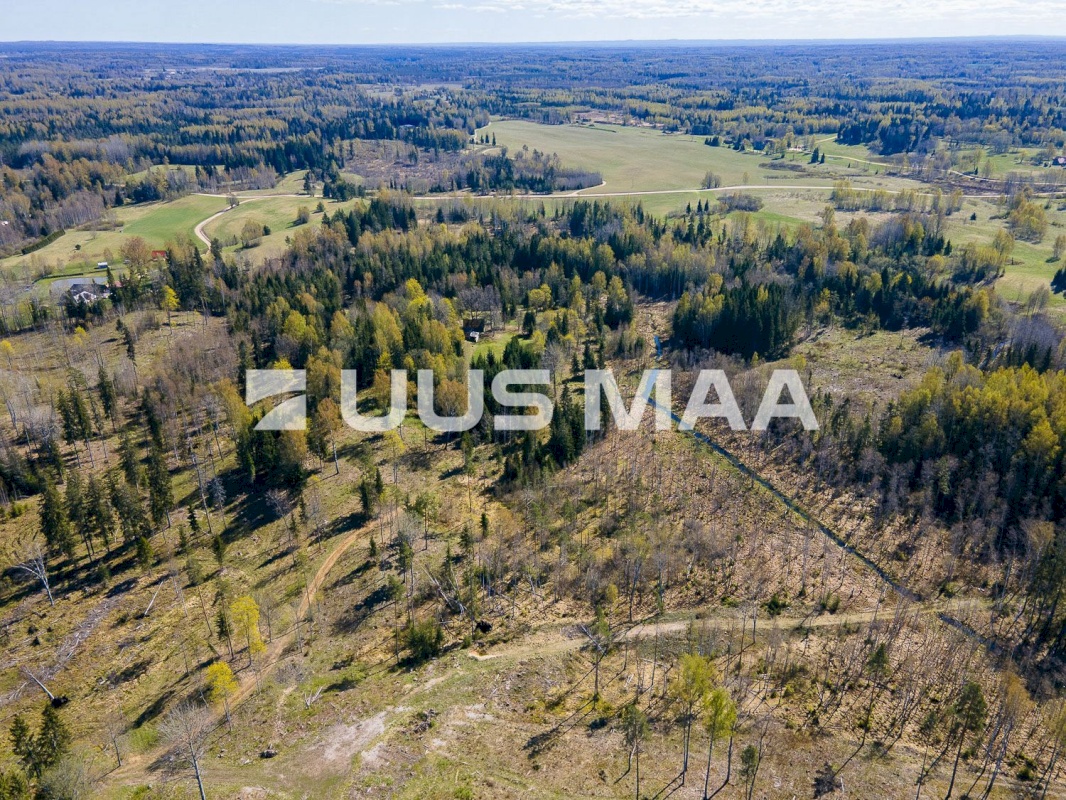 Otepää vald, Kaurutootsi küla, Lõuna-Piirindumäe