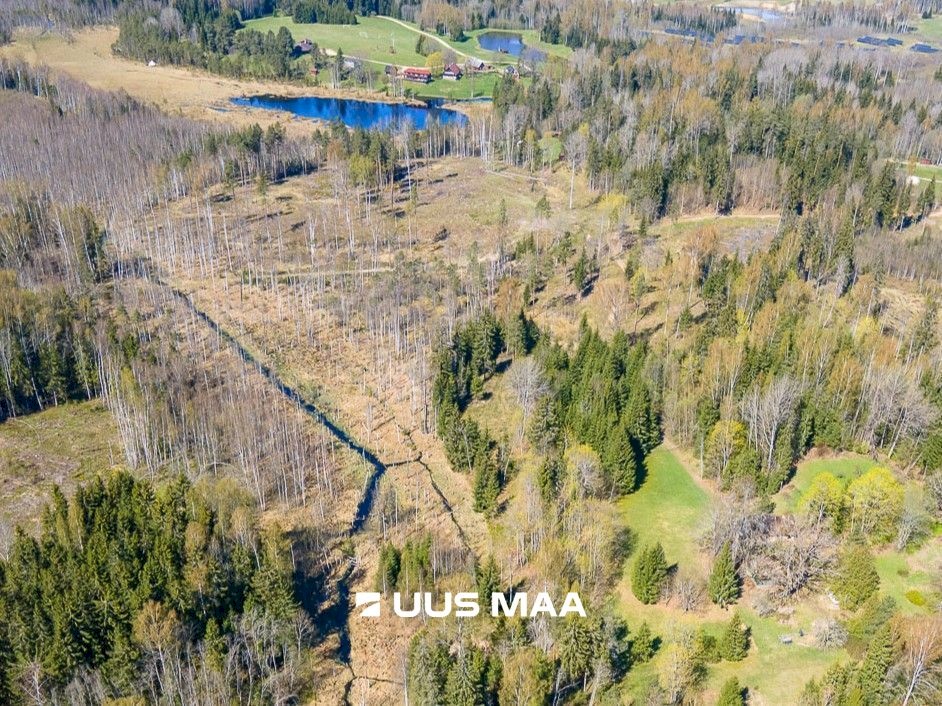 Otepää vald, Kaurutootsi küla, Lõuna-Piirindumäe