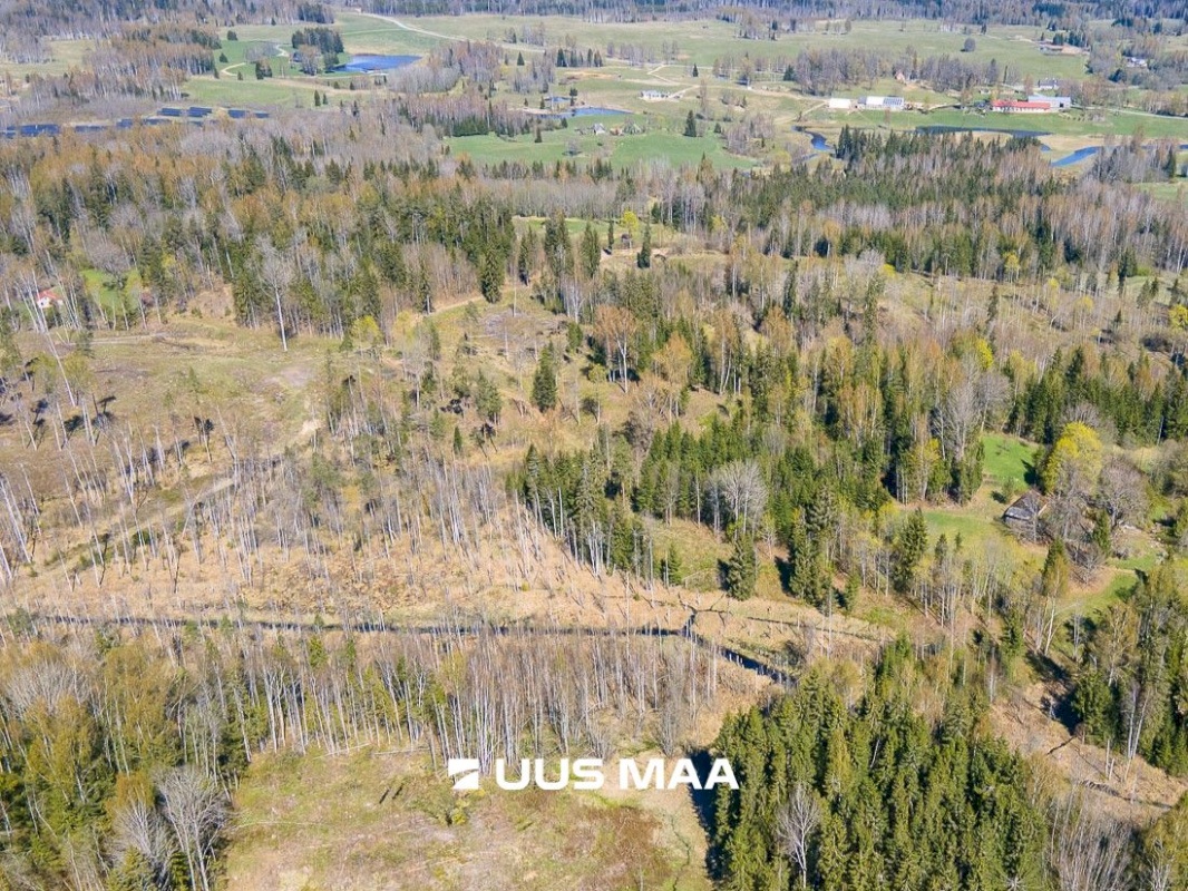Otepää vald, Kaurutootsi küla, Lõuna-Piirindumäe