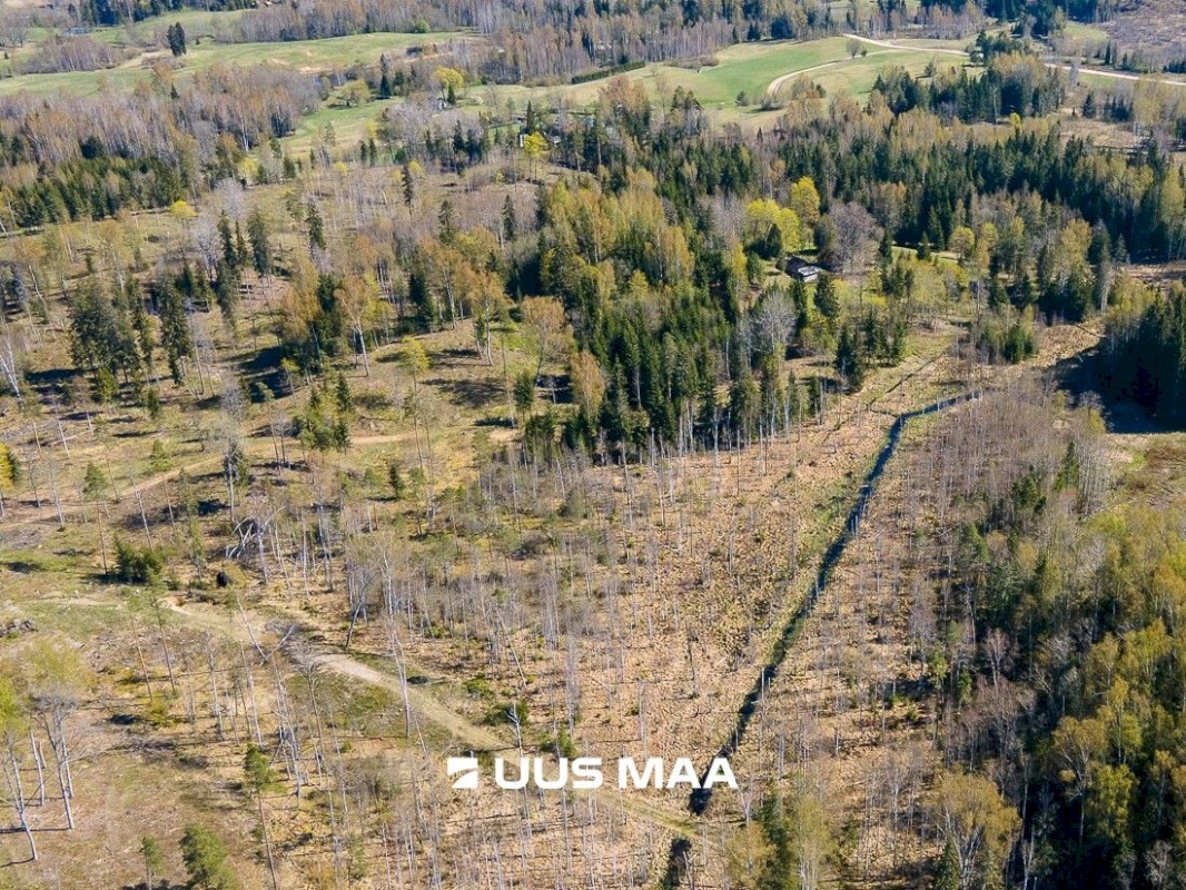 Otepää vald, Kaurutootsi küla, Lõuna-Piirindumäe
