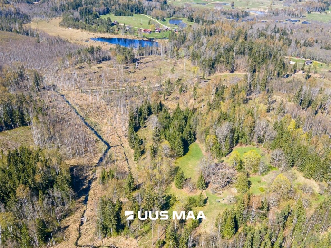 Otepää vald, Kaurutootsi küla, Lõuna-Piirindumäe