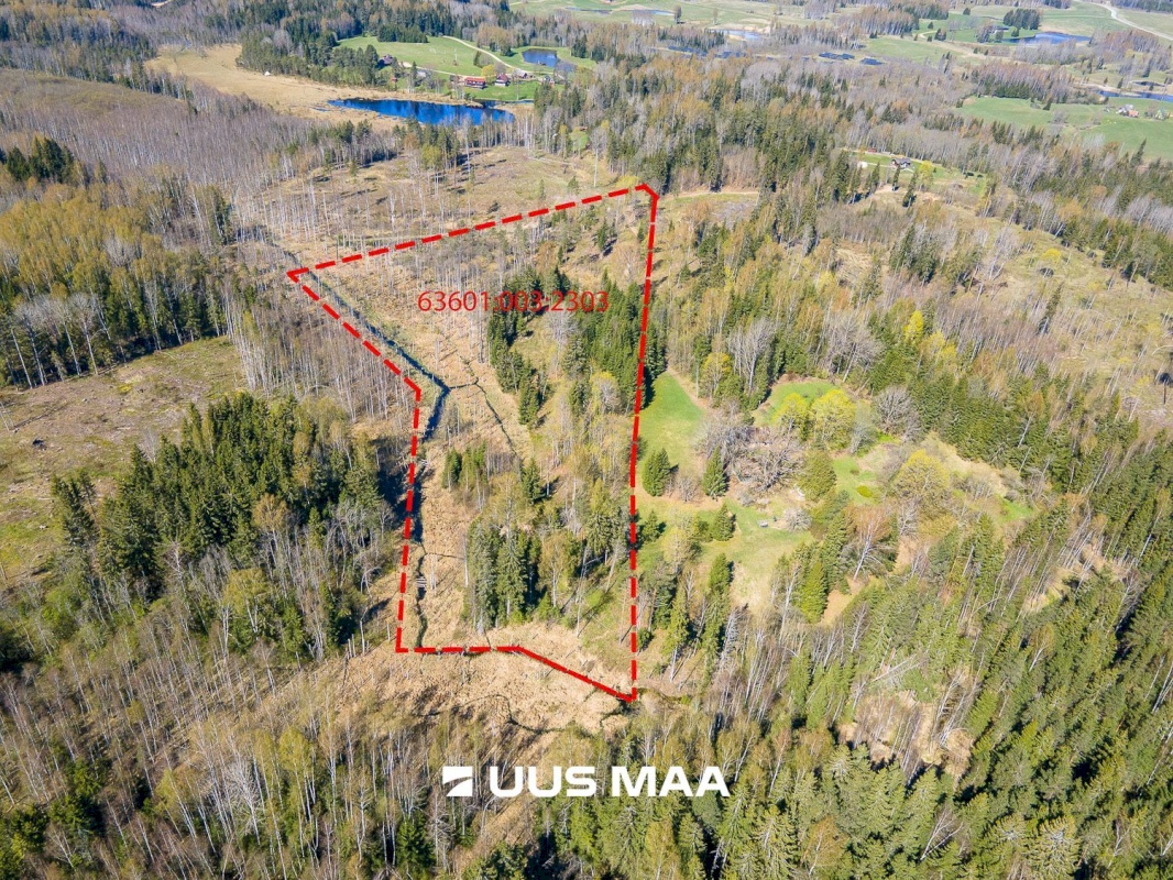 Otepää vald, Kaurutootsi küla, Lõuna-Piirindumäe