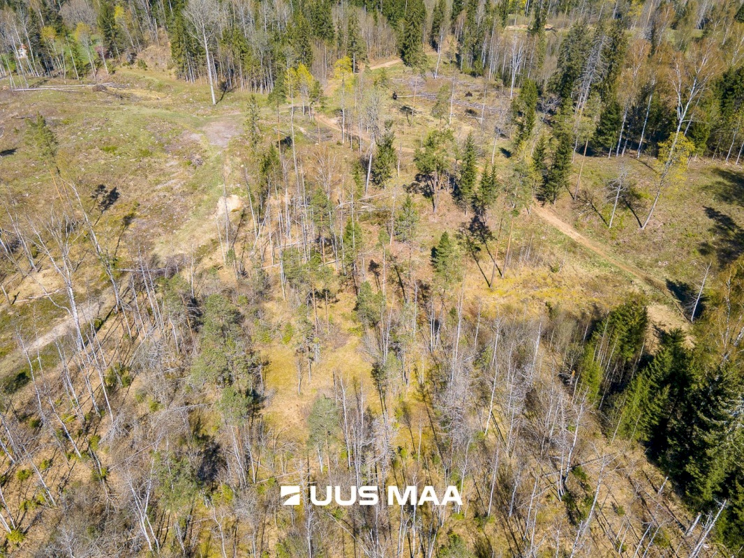 Otepää vald, Kaurutootsi küla, Lõuna-Piirindumäe