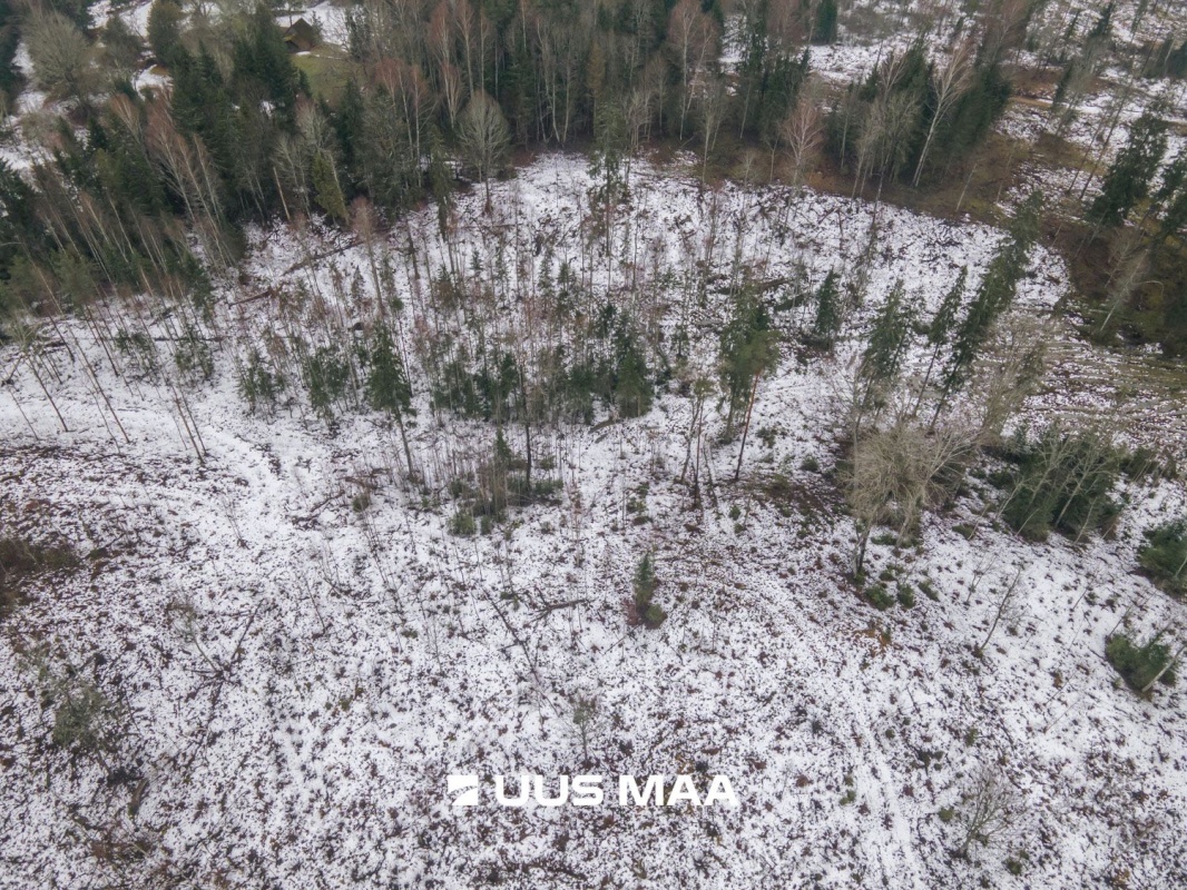 Otepää vald, Kaurutootsi küla, Oja-Piirindumäe