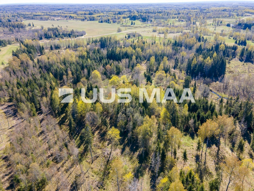 Otepää vald, Kaurutootsi küla, Oja-Piirindumäe