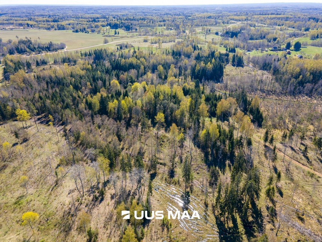 Otepää vald, Kaurutootsi küla, Oja-Piirindumäe